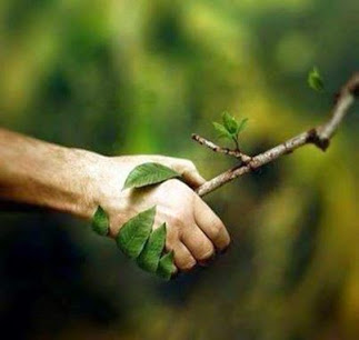 togetherness in nature