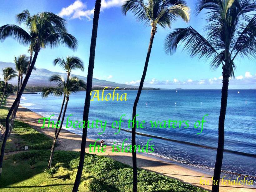 aloha beach