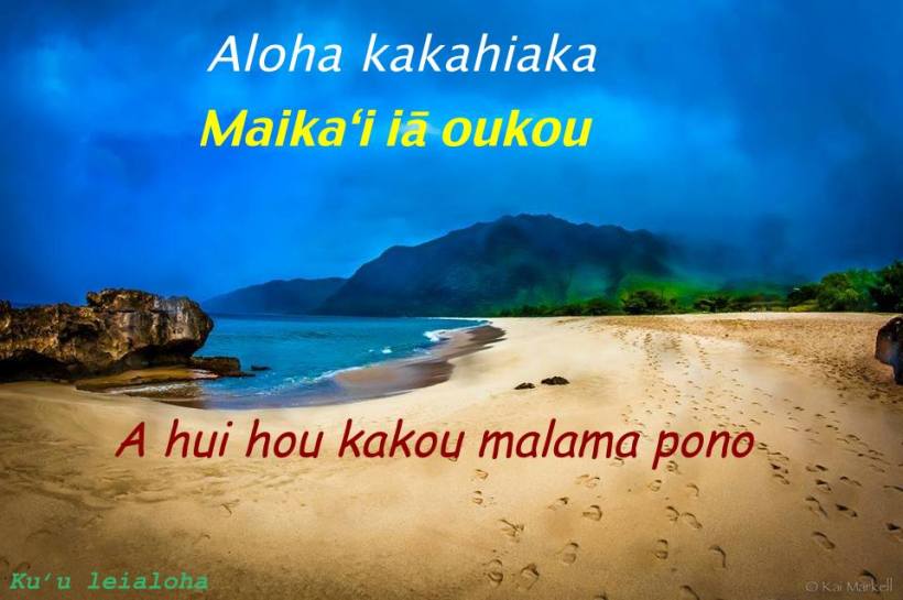 aloha sunday3