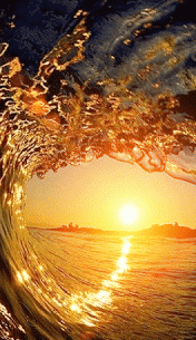 golden wave