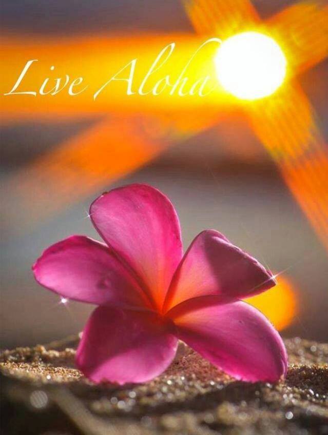 live aloha2