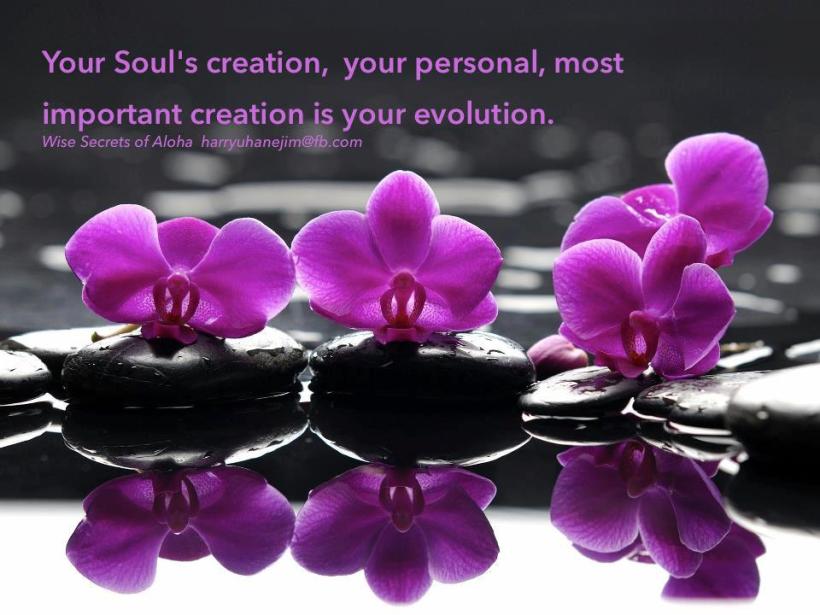 558981_643109892372335_1870305369_n