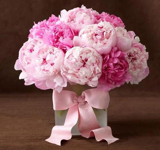 8193_509673389068607_1169295579_n