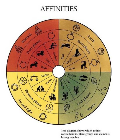 biodynamic_affinities-scaled-500
