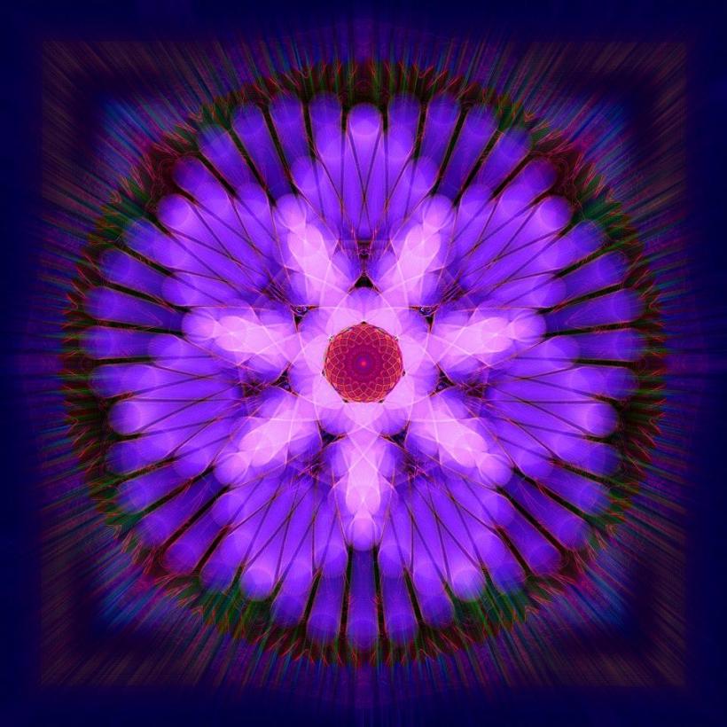 digital flower1