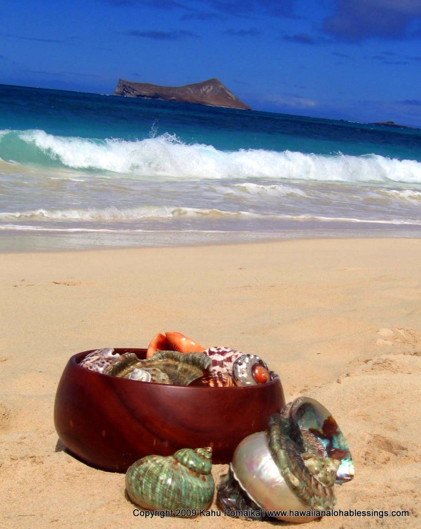 koa bowl and shells