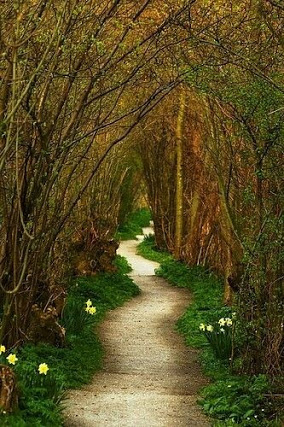 path to secret garden