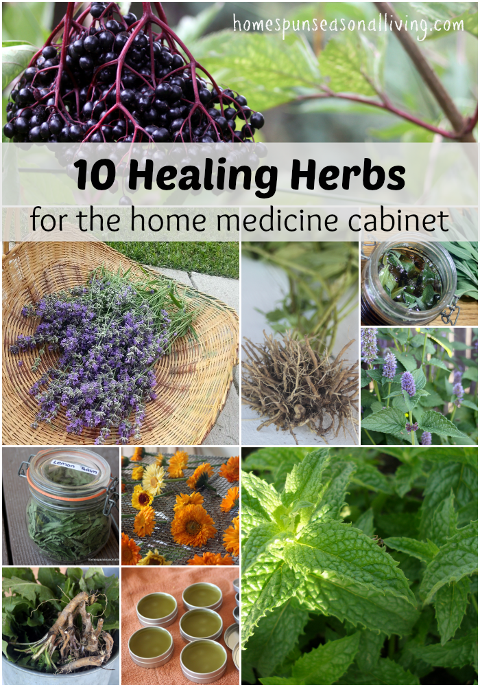 10-Healing-Herbs-For-The-Home-Medicine-Cabinet