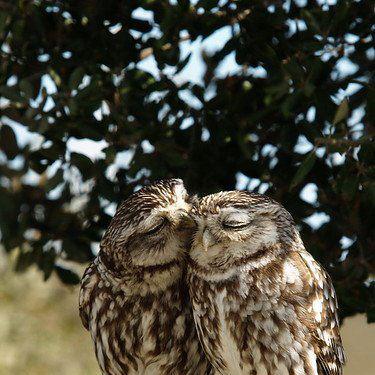 155796468329983086_WtB5sIpx