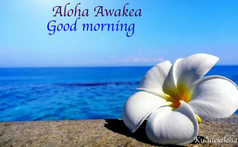 aloha awakea