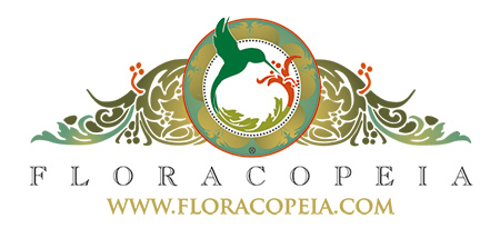 essential-oils-for-contagion2