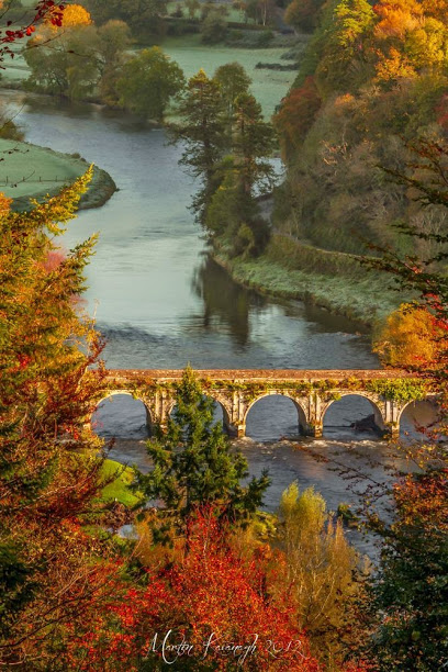 Inistioge Bridge, County Kilkenny, Ireland