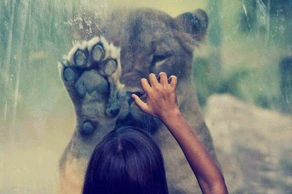 Love and care is everywhere, we just need to cut out the distance and differences