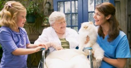 Animal-Assisted-Therapy