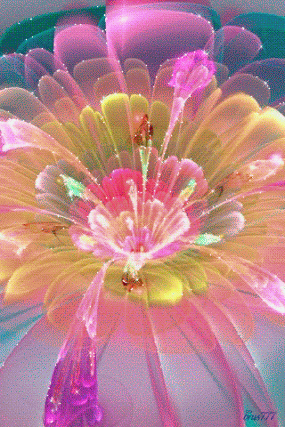 blooming_fractal_flower