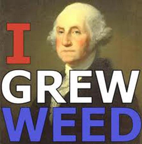 I_Grew_Weed