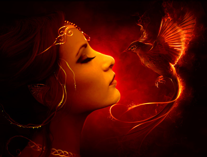 phoenix rising from Flames conjure summon phoenix fire bird beautiful sun bird phoenix bennu feng shui real magic