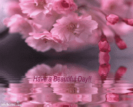 cherry_bloss_beautiful_day