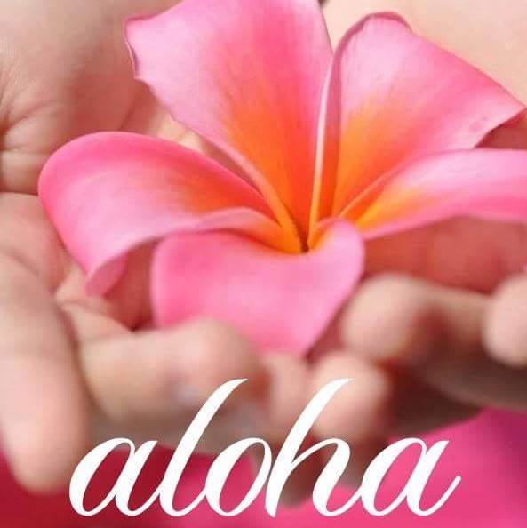 aloha_plumeria pink macro