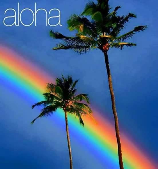 aloha_palmtrees