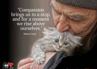 compassion
