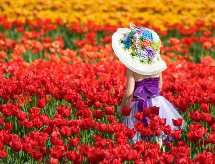 tulips_girl_field
