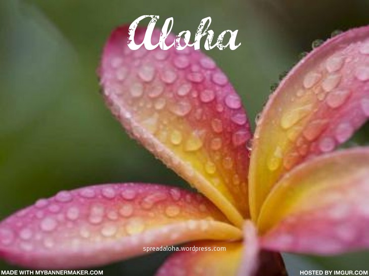 aloha_AHL_dewdrops_plumie
