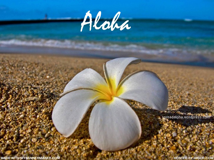 aloha_frangipani