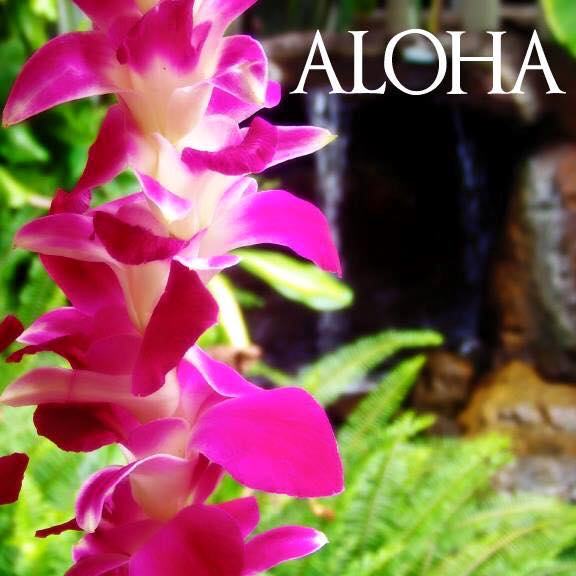 aloha_orchid lei