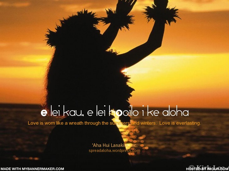 HALAU_everlasting love