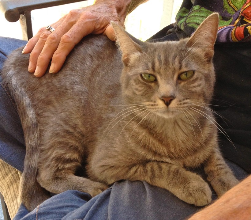 This is Sweetness with David.