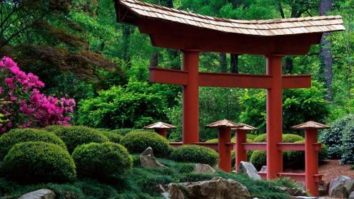 Zen_torii_japanese_garden-191202