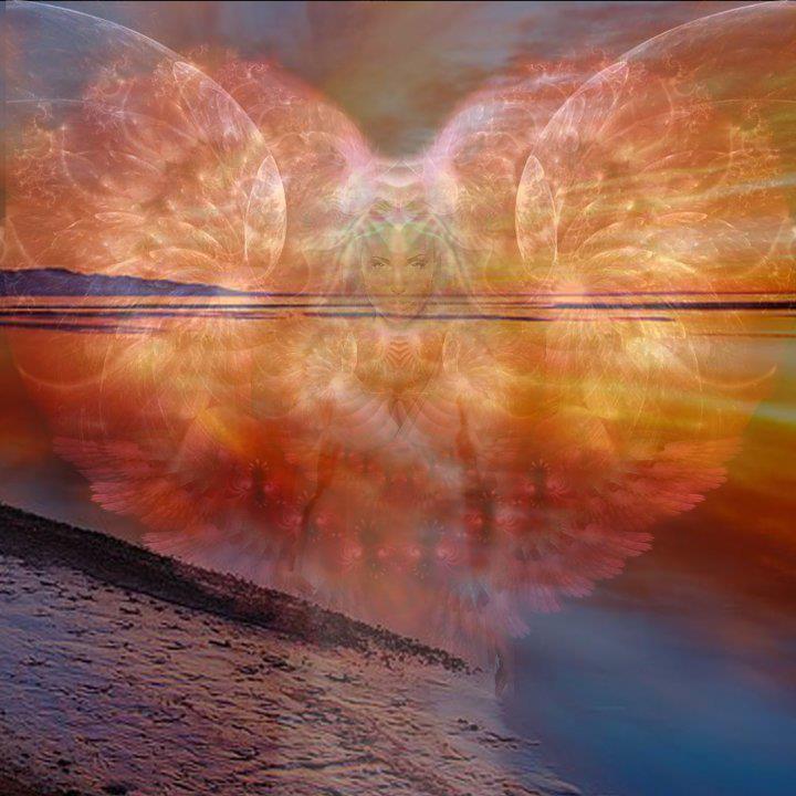 430730_280950681978387_1948318713_n