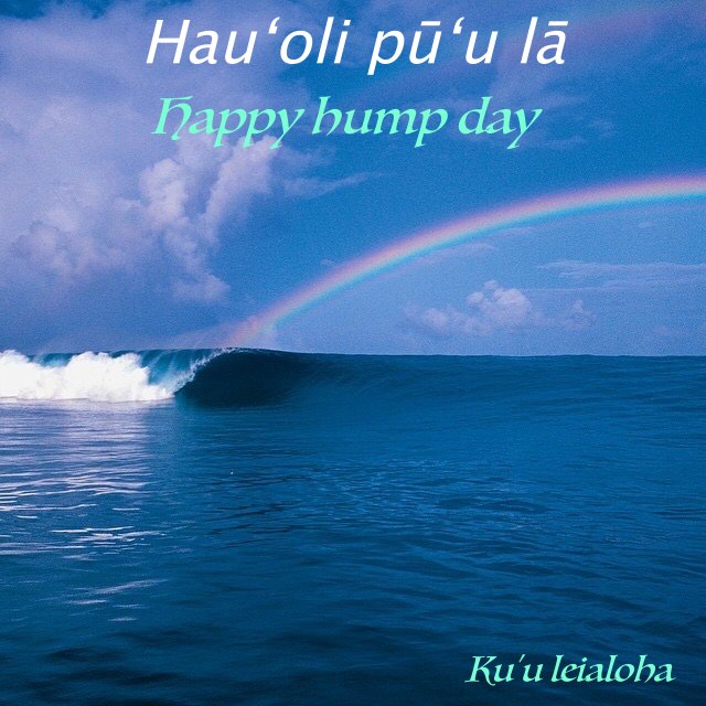 aloha_hump day