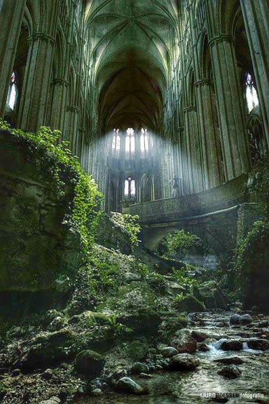 cathedral_stream