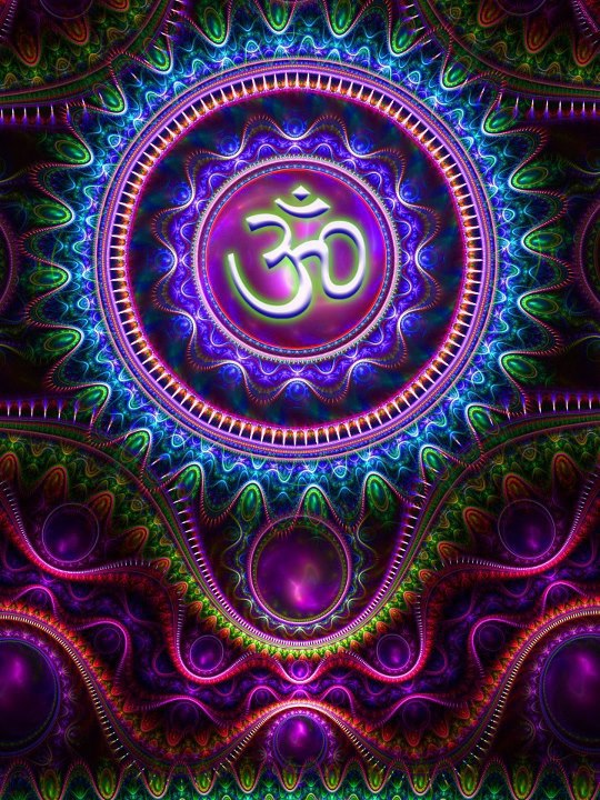 376748_10152027856210705_1917571569_n