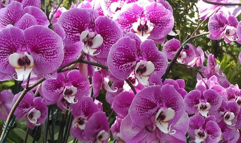 482357_2771922425059_1467962604_31931971_1834030741_n