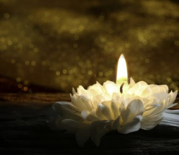 candle_lotus