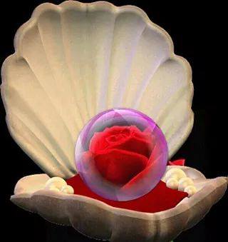 rose+pearl_shell