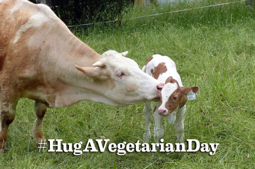 Hug_A_Veggie_Day