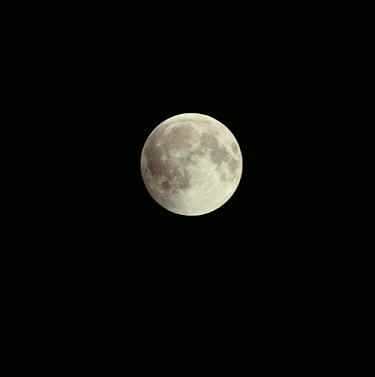 mooooon