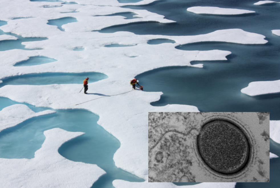 NASA researchers working on the Arctic ice (NASA Goddard Space Flight Centre / Flickr)