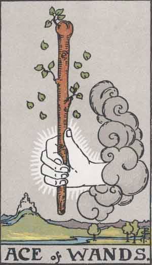 tarot_AceWands