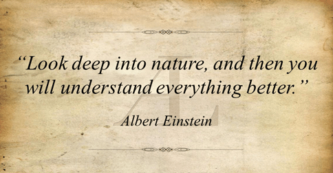 wisdomnatureeinstein