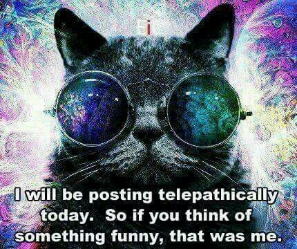 CAT-TELEPATHY
