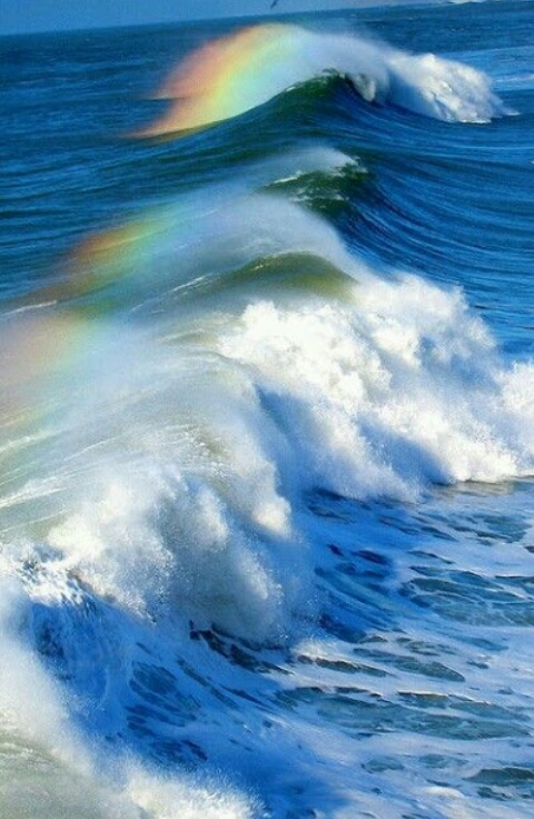 RAINBOW-SURF