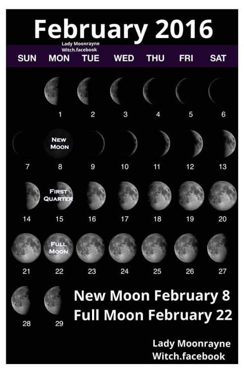 FEB MOONS