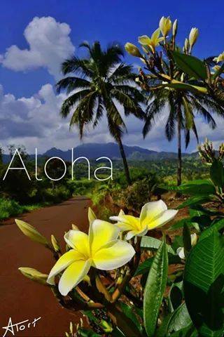 aloha1