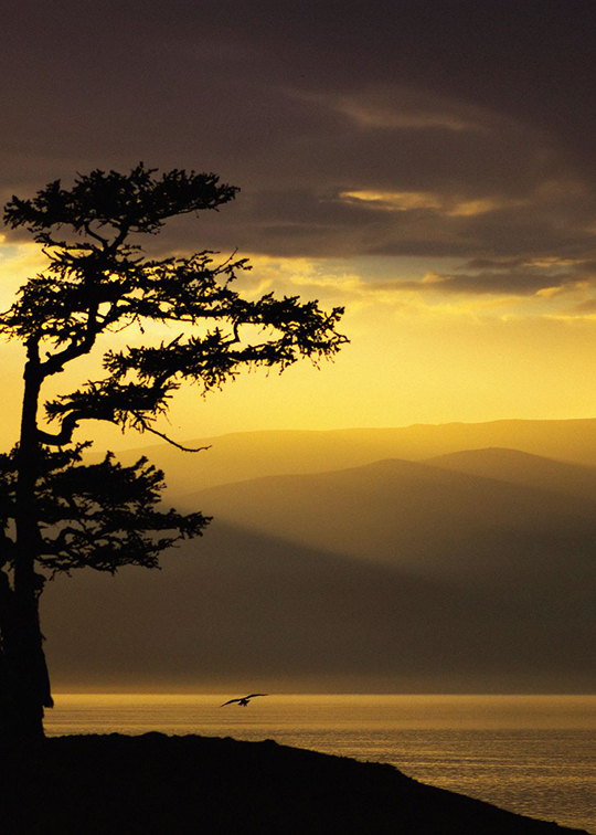 Image by Pavel Hudozhnikov