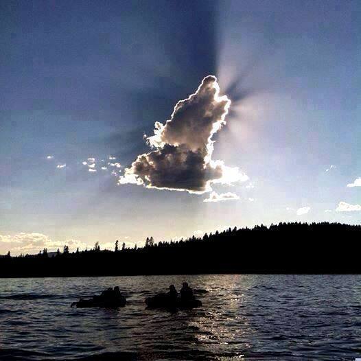 wolf-cloud